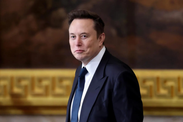 Elon Musk net worth $800 billion