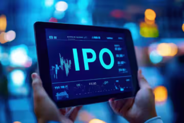 Gaudium IVF IPO