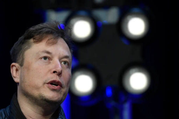 TSA shutdown Musk offer