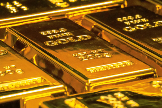 Dhan Gold Vault