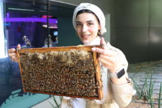 Dubai Bee Fairy Lady